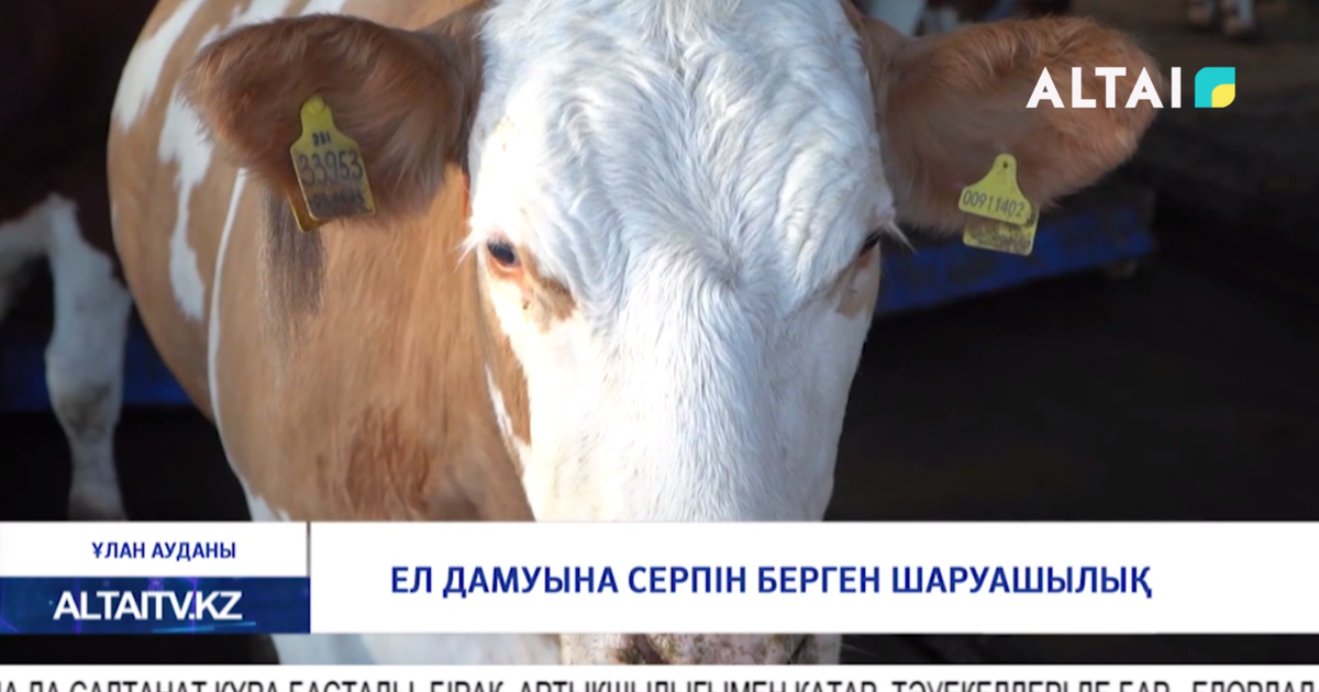 Көліктегі порно