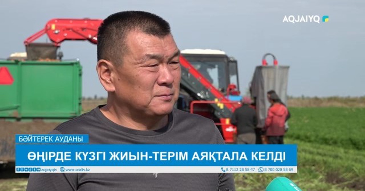 Табиғи тастан жасалған үкілер Мысық құмар