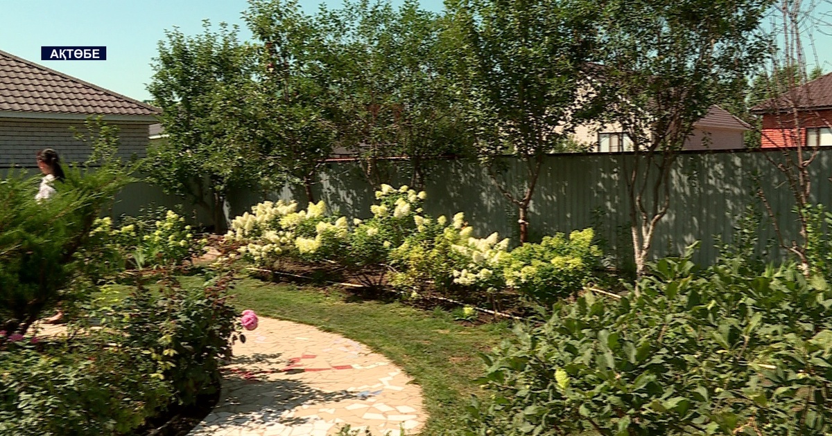 Үлкен әтештер қара жігіттермен топтық порно